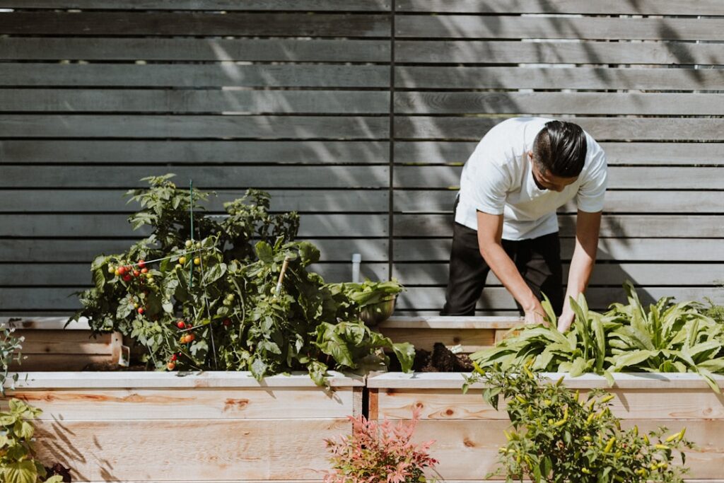 Photo Outdoor garden